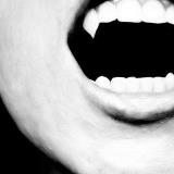 Joe told me if I didn't get that plug in, he'd sic this chick on me!