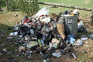 what?  You thought I meant something else?