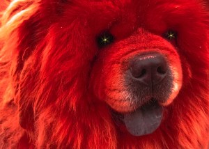 such a cute little death machine