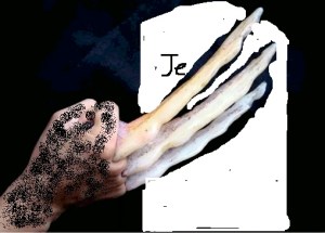 Imagine something like this, only drawn by someone with actual talent