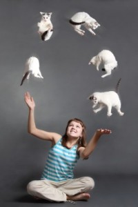 …tho learning to juggle cats might not be a bad life skill..
