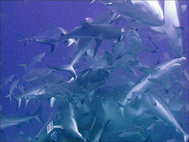 ...like this, but alot less friendly...