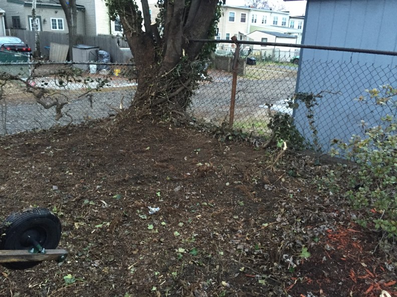 ..the battle has left the earth bare, but this will someday be the home of more royal gardens...