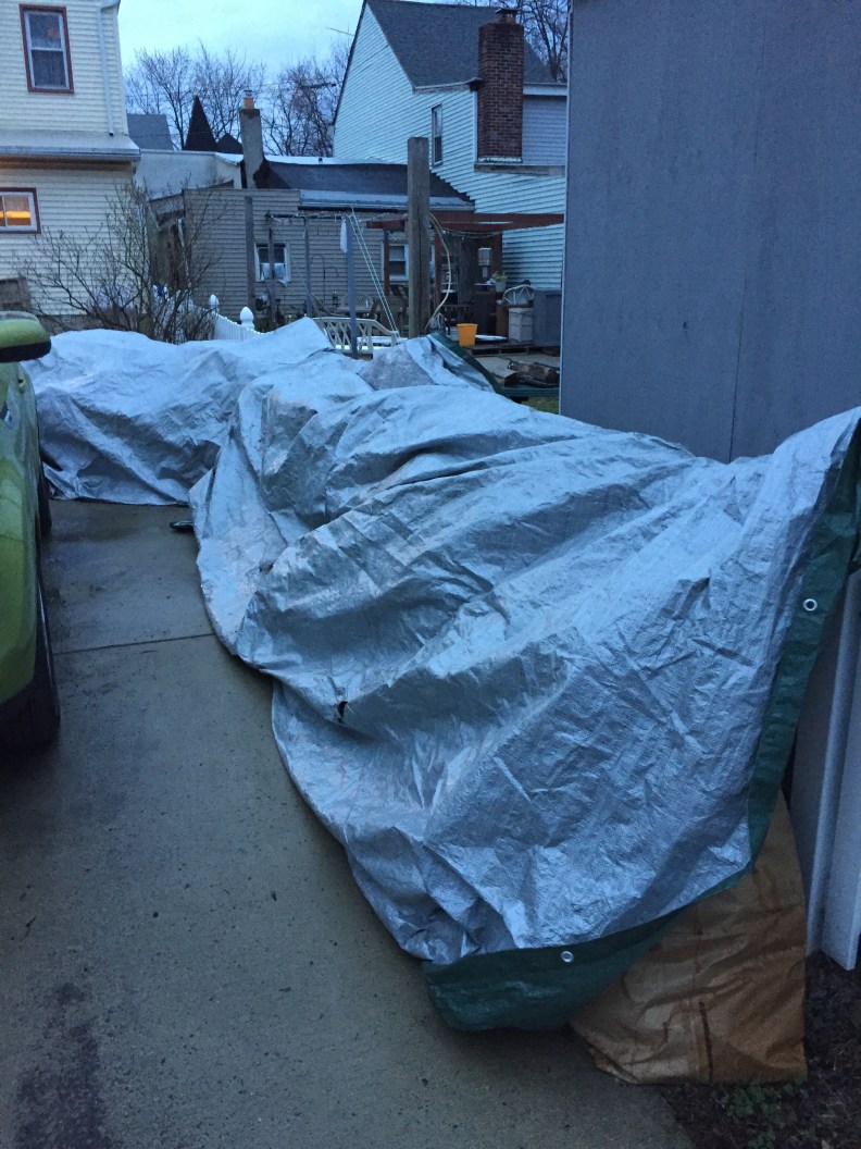 ...the carnage of war. Over 20 lawn and leaf bags were called into service to dispose of the enemy...